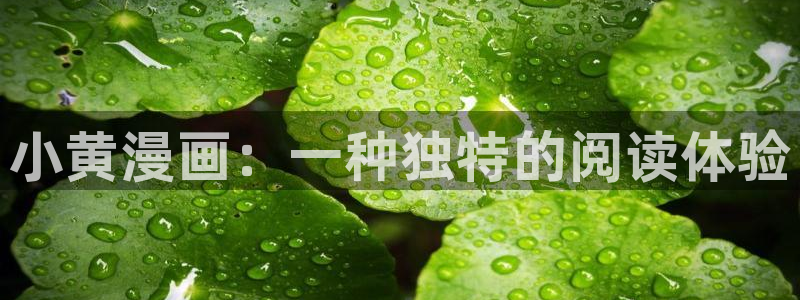 汗汗漫画网免费：小黄漫画：一种独特的阅读体验
