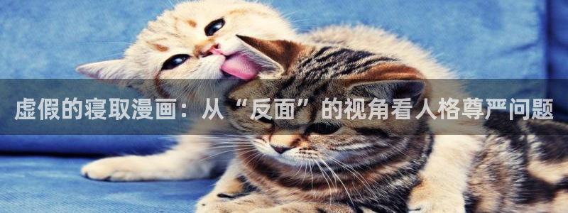 汗汗漫画在线：虚假的寝取漫画：从“反面”的视角看人格尊严问题