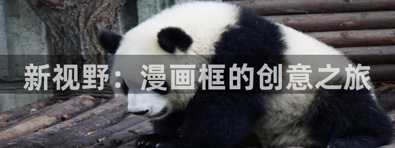 汗汗漫画中国漫画网：新视野：漫画框的创意之旅