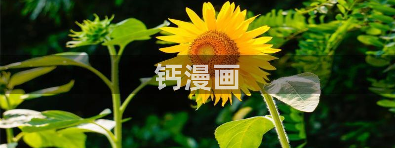 寄宿日记漫画汗汗漫画