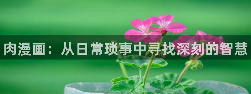 汗汗漫画网手机版
