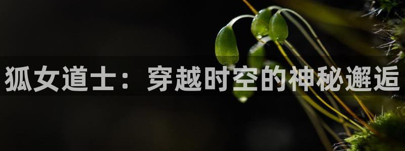 汗汗漫画: