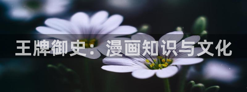汗汗漫画网手机版